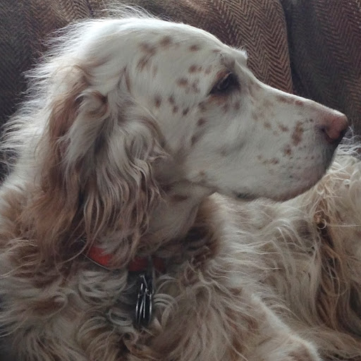 Christine Dubois Photo 20