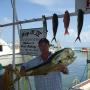 James Land Photo 28
