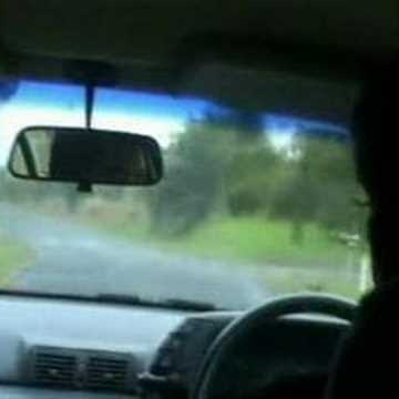 David Witte Photo 25