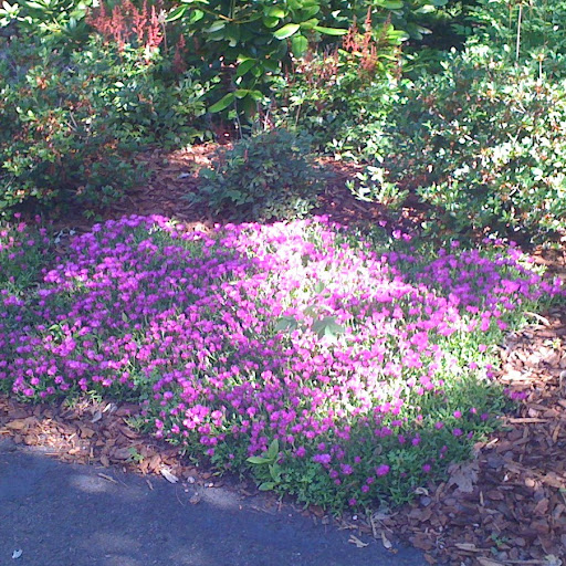 Joann Meyer Photo 23