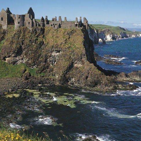 Carolyn Johnston Photo 42