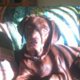 Melissa Houston Photo 9