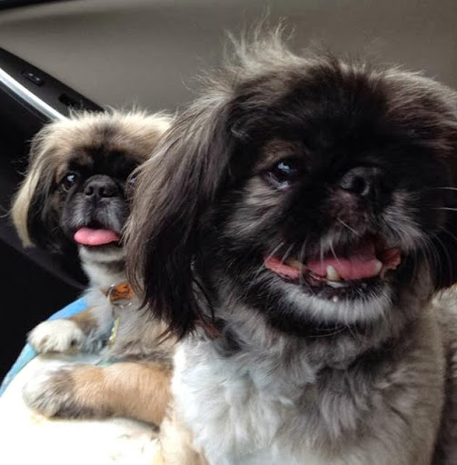 Tracy Shaffer Photo 26