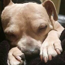 Erin Lambers Photo 4