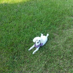 Jeanette Woods Photo 13