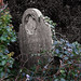 Thomas Wharton Photo 13