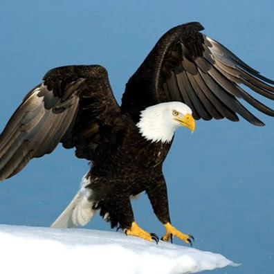 Chien Nguyen Photo 12