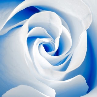 Cecelia Miller Photo 13