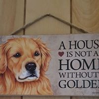 Cindy Shoemaker Photo 15