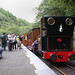 Thomas Hillman Photo 41