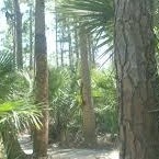 Patti Sharp Photo 17