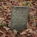 Jan Shultz Photo 16