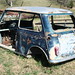 Shelley Cooper Photo 16