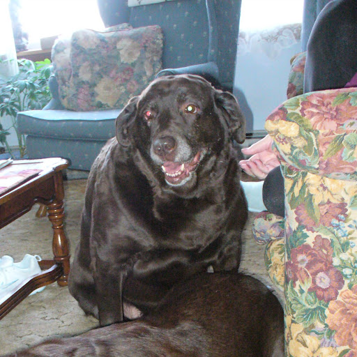 Linda Hendrickson Photo 32