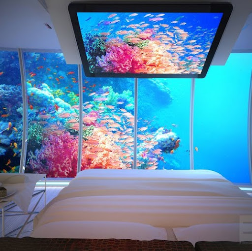 Cole Barrett Photo 6