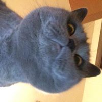 Jeannine Schaefer Photo 6