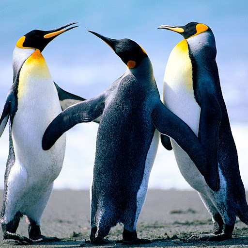 Marilyn Perry Photo 15