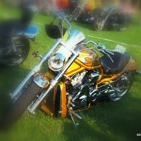 Richard Dyer Photo 14