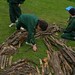 Julie Halpin Photo 10