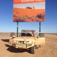 Angela Dickinson Photo 12