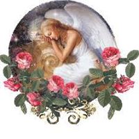 Sherri Wheeler Photo 26