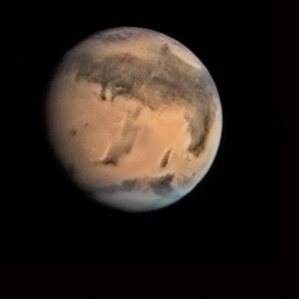 Susan Worley Photo 9