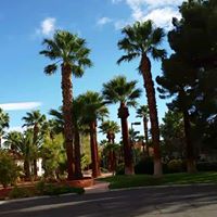 Reed Merrell Photo 5