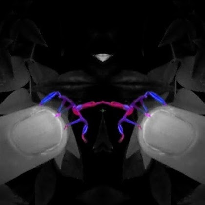 Jenny Harper Photo 36