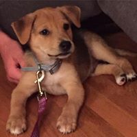 Dan Wheeler Photo 17