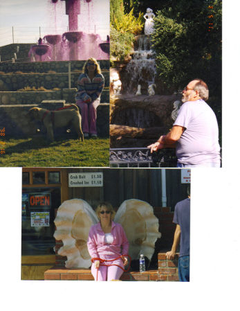 Donna Goodman Photo 32