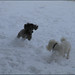 Aimee Barney Photo 12