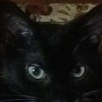 Eric Mclendon Photo 7