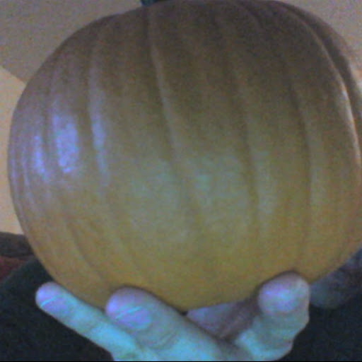 Debbie Weir Photo 12