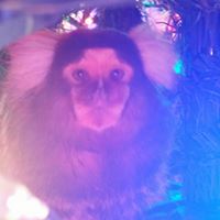 Tracy Moody Photo 37