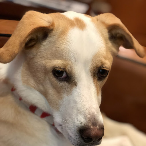 Debra Phillips Photo 23