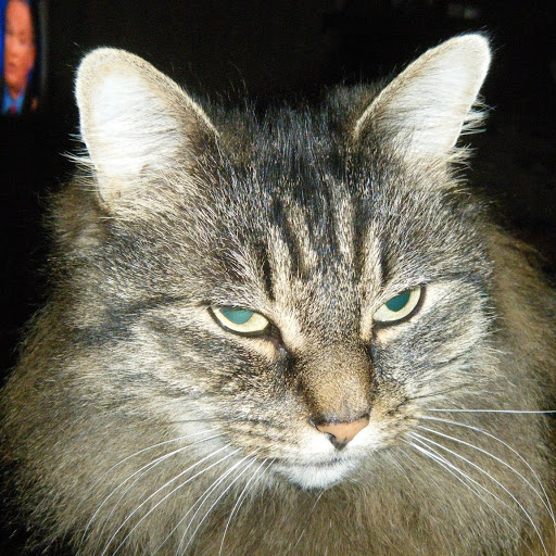 Sandra Pollard Photo 17