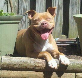 Catherine Stanton Photo 36