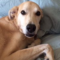 Charles Kirsch Photo 10