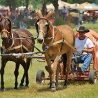 Clay Farris Photo 7