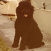 Gloria Warren Photo 11