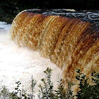 Patrick Fowler Photo 31