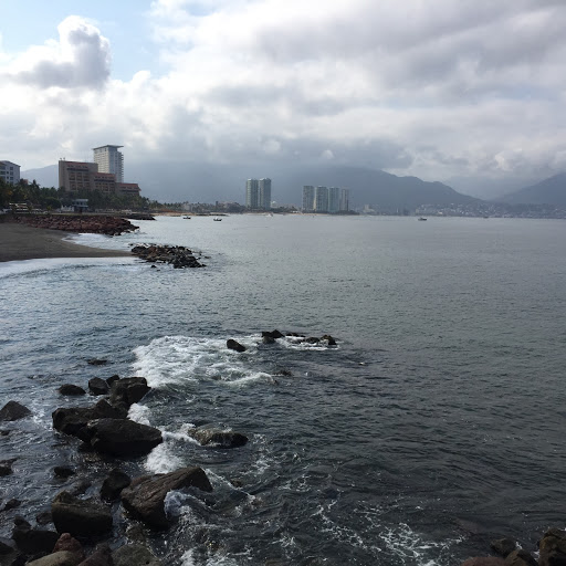 Justin Fields Photo 21