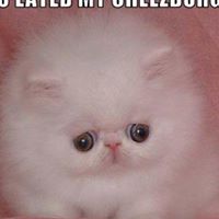 Curtis Garrett Photo 2