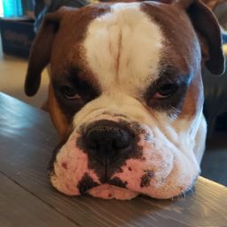 Ricky Taylor Photo 30 Ricky Taylor Photo 30