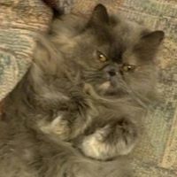 Anissa Tuttle Photo 3