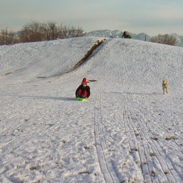 Laura Perkins Photo 7