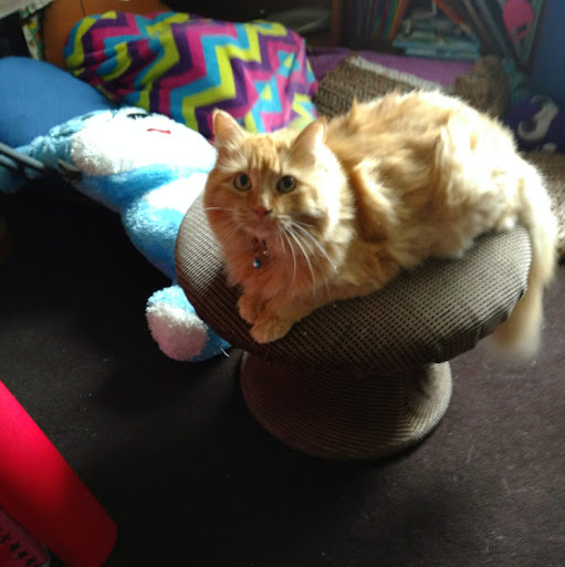 Sharon Rollins Photo 19