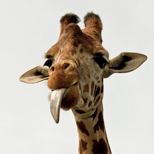 Jordan Reece Photo 13