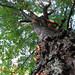 Cory Lake Photo 30