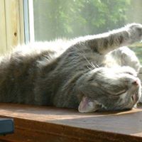 Jane Rasmussen Photo 24